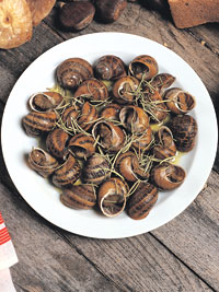 Snails with Rosemary and Wine
